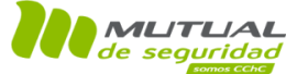 Mutual de Seguridad